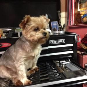 Meet your Posher, John